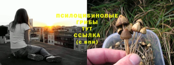 прущая мука Дмитриев