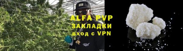 сатива Гусь-Хрустальный