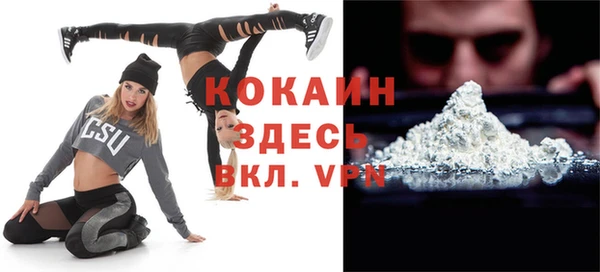 сатива Гусь-Хрустальный
