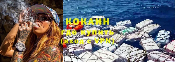 сатива Гусь-Хрустальный