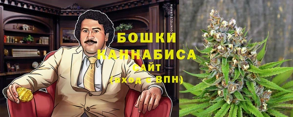 сатива Гусь-Хрустальный