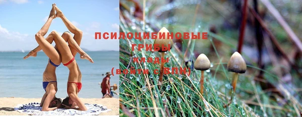 каннабис Гусев